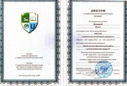 Диплом о профессиональной переподготовке, 2016 г.